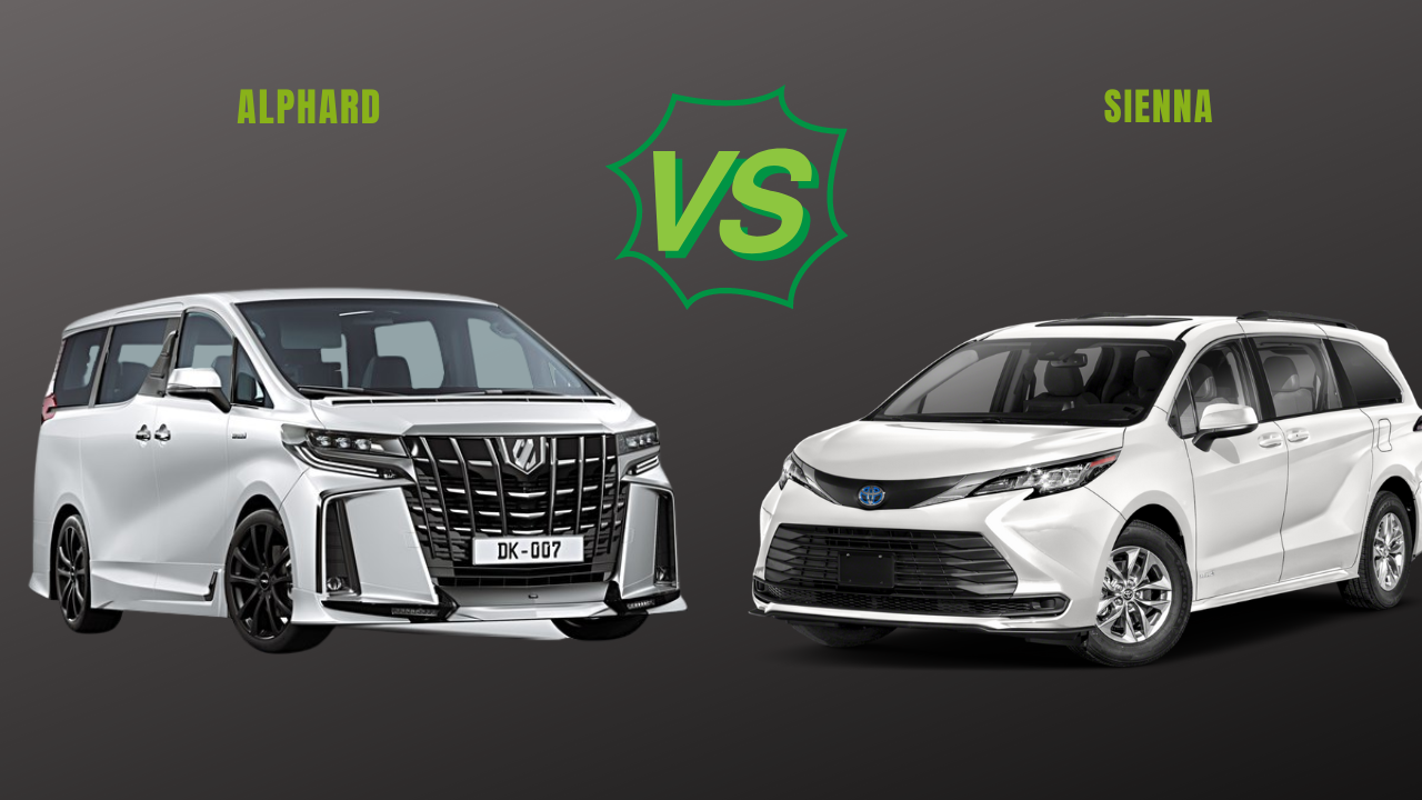 So sánh Toyota Alphard và Sienna
